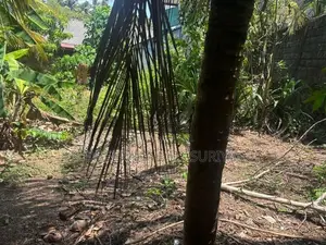 Land for Sale in Polgasowita
