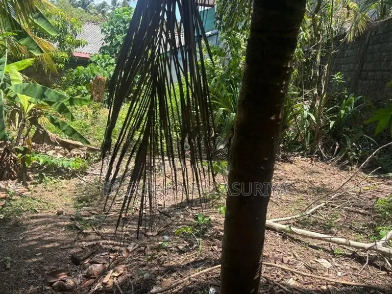 Land for Sale in Polgasowita