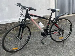 Rider 2699 ALX Bicycle - Brand New