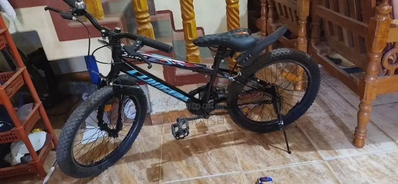 Bicycle