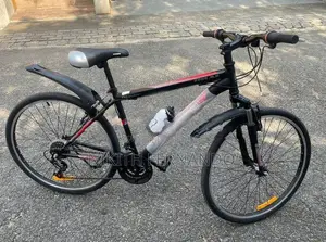 Rider 2699 ALX Bicycle - Brand New