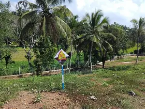 නේවාසික බිම් කලුතර