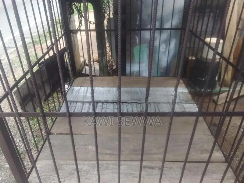Dog Cage