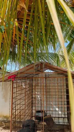 Dog Cage