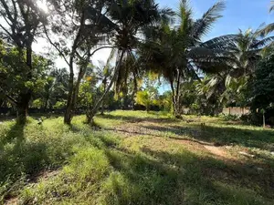 100 Perch Land for Sale – Pasyala