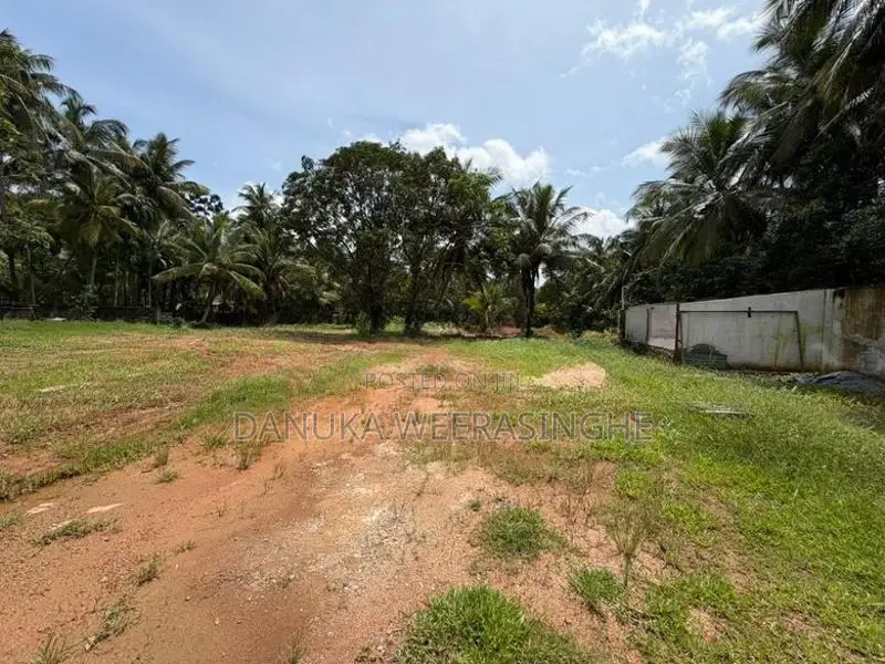 100 Perch Land for Sale – Pasyala