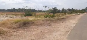 Polonnaruwa Kaduruwela Town 64 Perches Land for sale