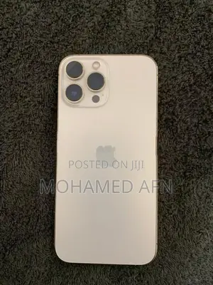 Apple iPhone 13 Pro Max (Used)