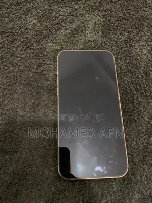 Apple iPhone 13 Pro Max (Used)