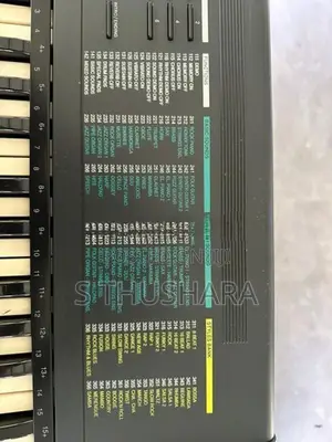Bontempi PM 61 Keyboard with Stand