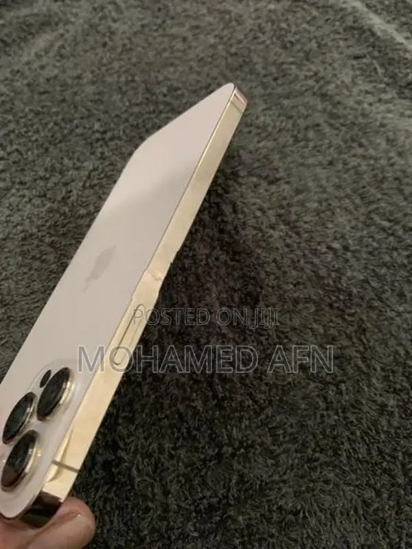 Apple iPhone 13 Pro Max (Used)