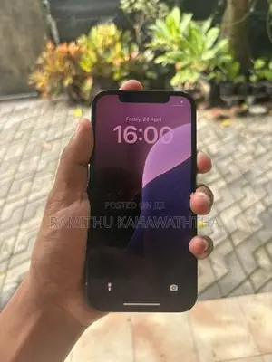 Apple iPhone 12 (Used)