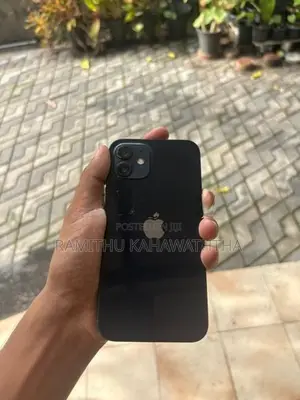 Apple iPhone 12 (Used)
