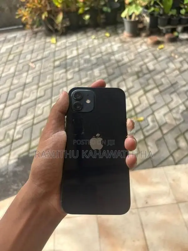 Apple iPhone 12 (Used)