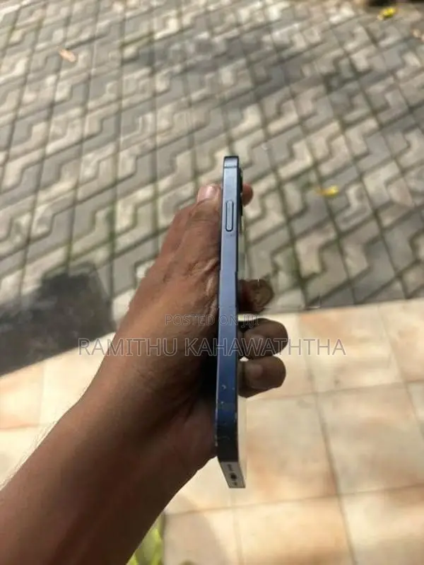 Apple iPhone 12 (Used)