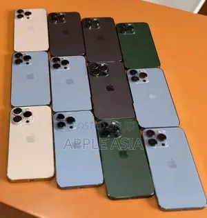 Apple iPhone 13 Pro Max (Used)