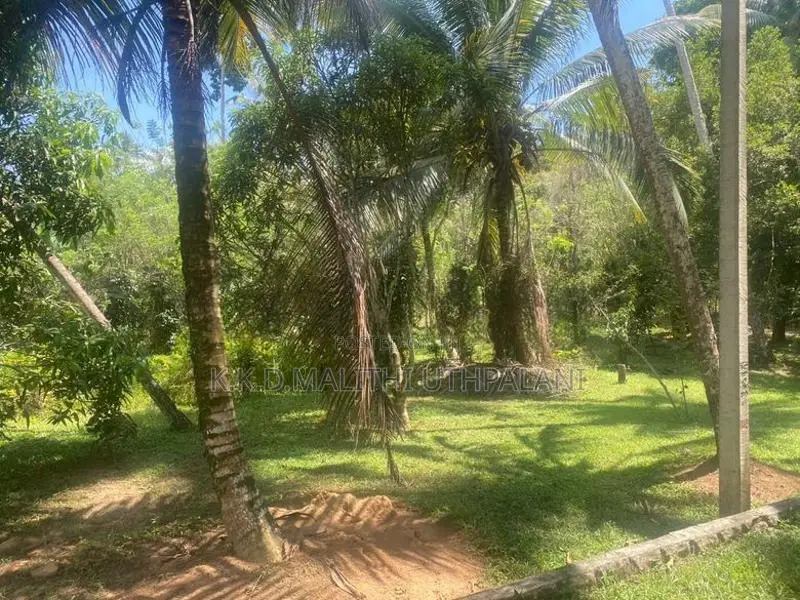 Land For Sale Hakmana