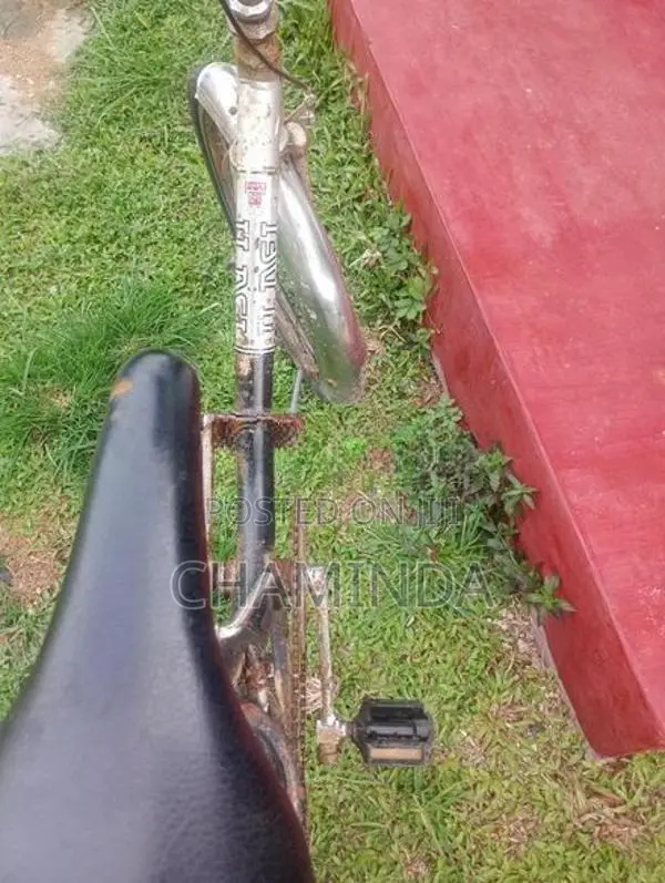 Bicycle