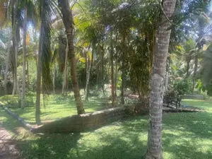 Land For Sale Hakmana