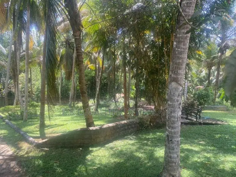 Land For Sale Hakmana