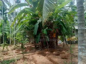 Land For Sale In Veyangoda