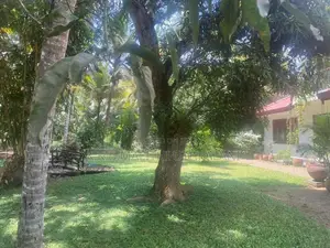 Land For Sale Hakmana