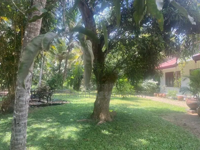 Land For Sale Hakmana