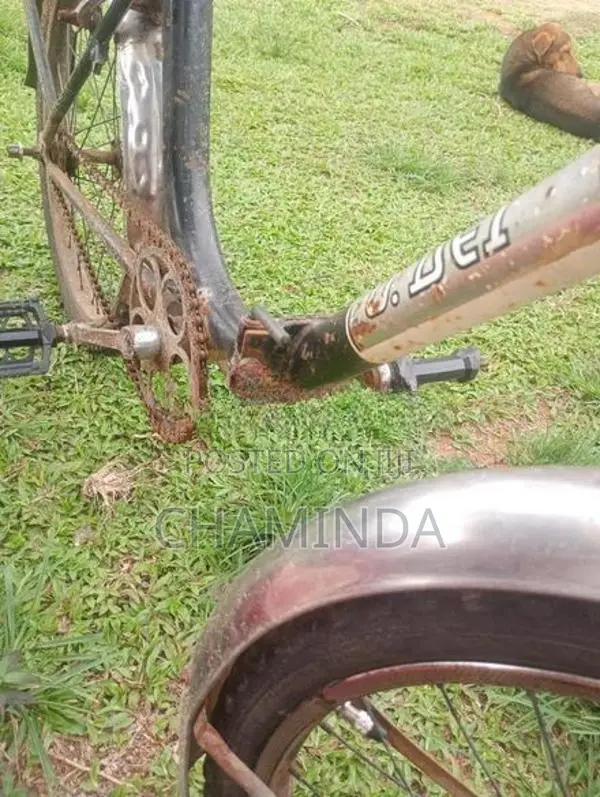 Bicycle