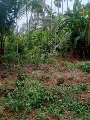 Land For Sale In Veyangoda