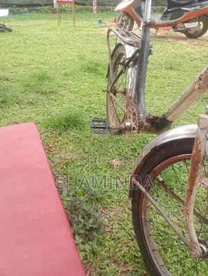 Bicycle