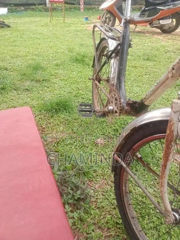 Bicycle