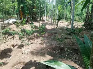 Land For Sale In Veyangoda