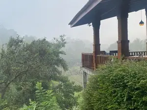 Scenic Teak Wood Restaurant for Sale Near Balangoda | 1 Acre