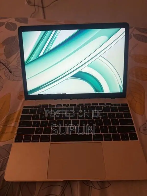 Apple MacBook 12 inch