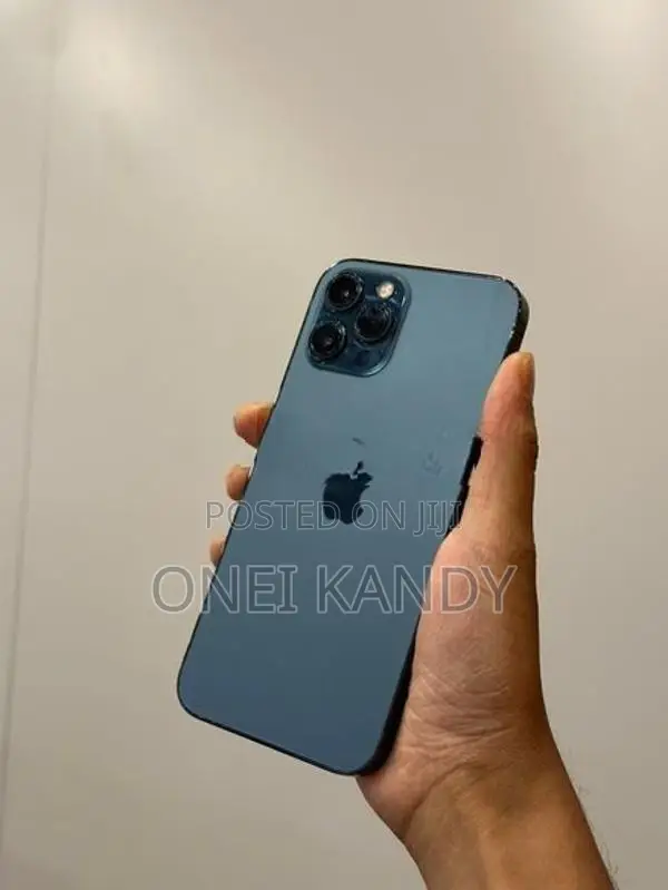 Apple iPhone 12 Pro Max 256GB (Used)