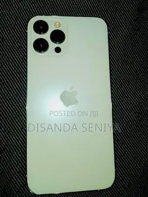 Apple iPhone 12 Pro Max (Used)