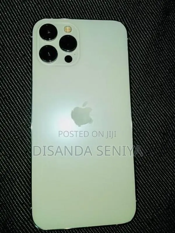 Apple iPhone 12 Pro Max (Used)
