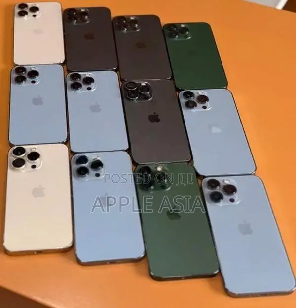 Apple iPhone 13 Pro Max (Used)