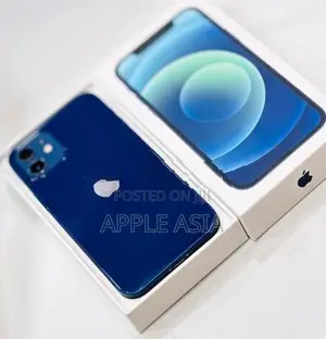 Apple iPhone 12 (Used)
