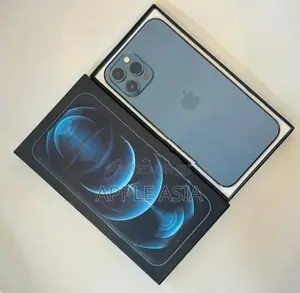 Apple iPhone 12 Pro Max (Used)