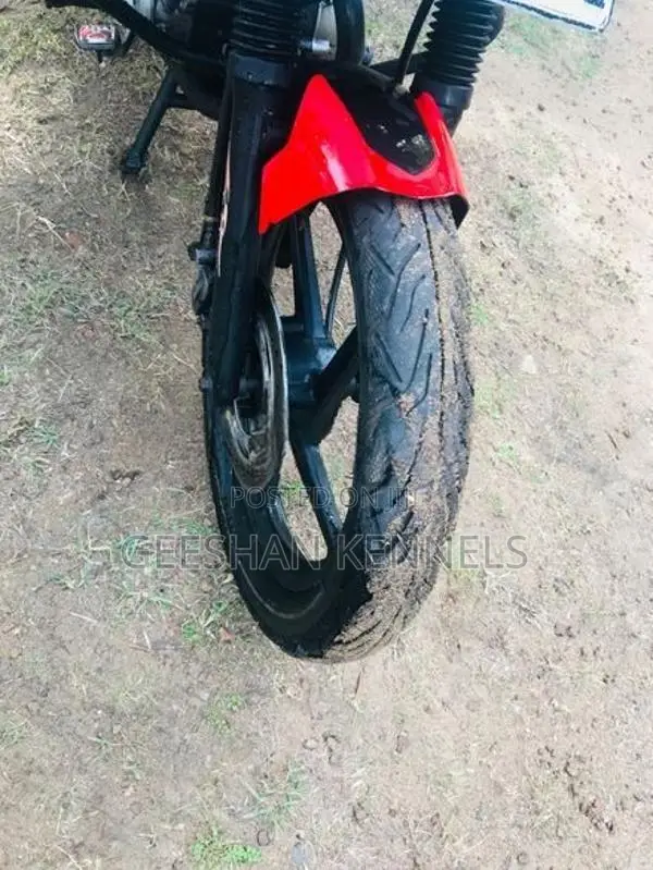 Bajaj Pulsar 135 2013