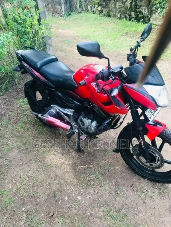 Bajaj Pulsar 135 2013