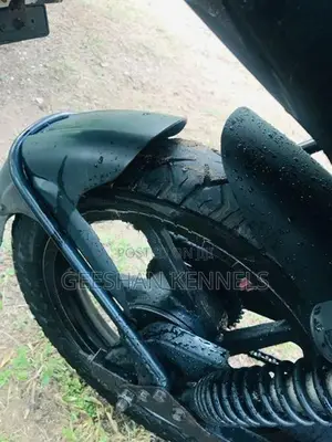 Bajaj Pulsar 135 2013