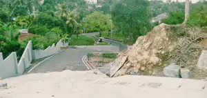 කාරාපිටියෙන් බිම්කොටස්