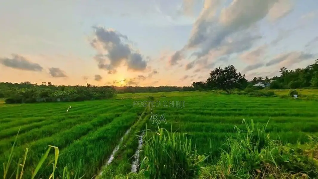 Land for Sale Batticaloa