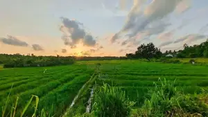 Land for Sale Batticaloa