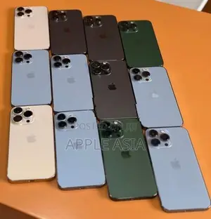 Apple iPhone 13 Pro Max (Used)