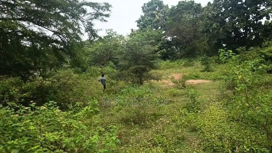 காணி விற்பனைக்கு - Murukandy Kilinochchi