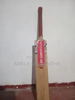 Cricket bat
