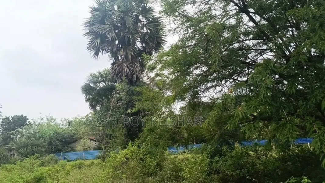 காணி விற்பனைக்கு - Murukandy Kilinochchi